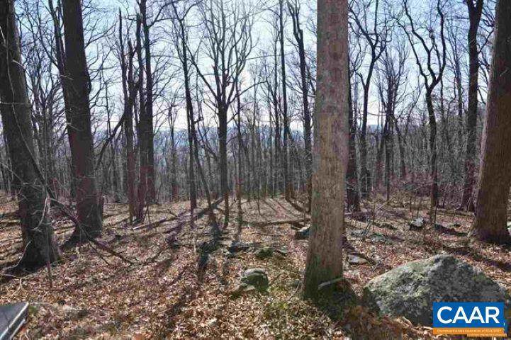 730 Far Knob Climb - Photo 1