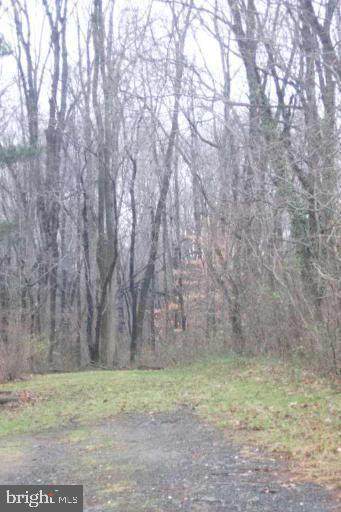 Maryland - Photo 1