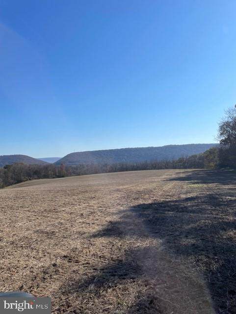 208 Hatchery Road - Photo 1