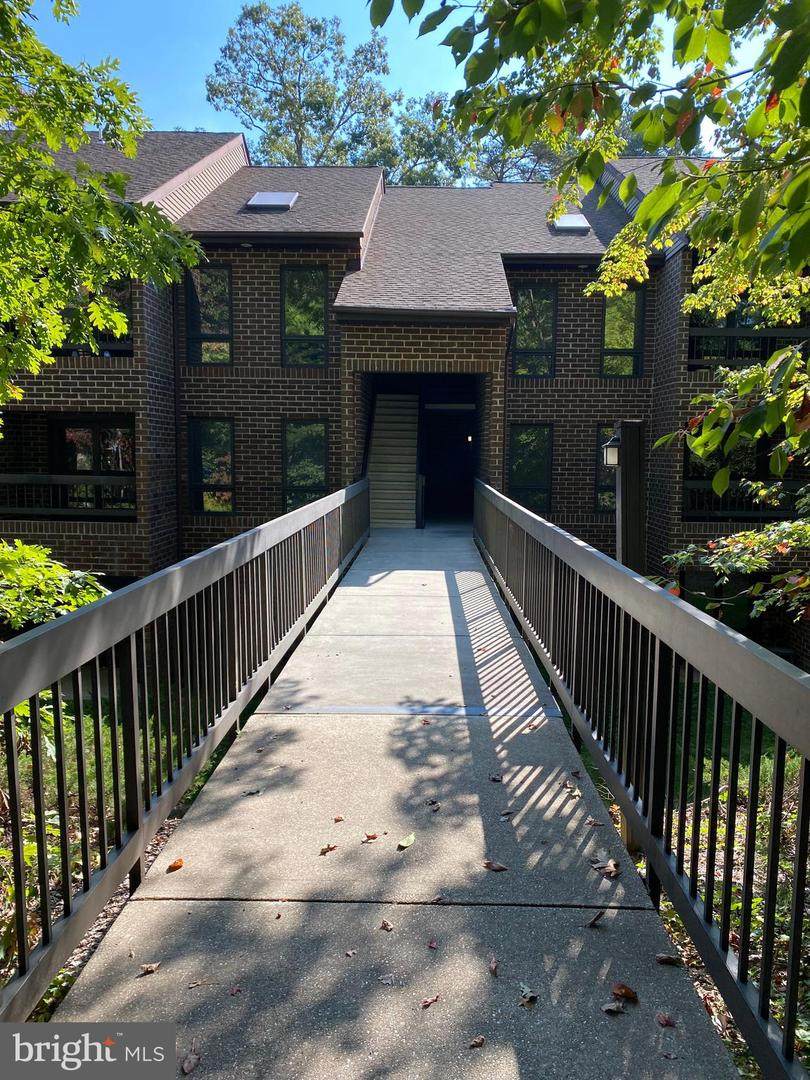 23242 Chestnut Oak - Photo 1