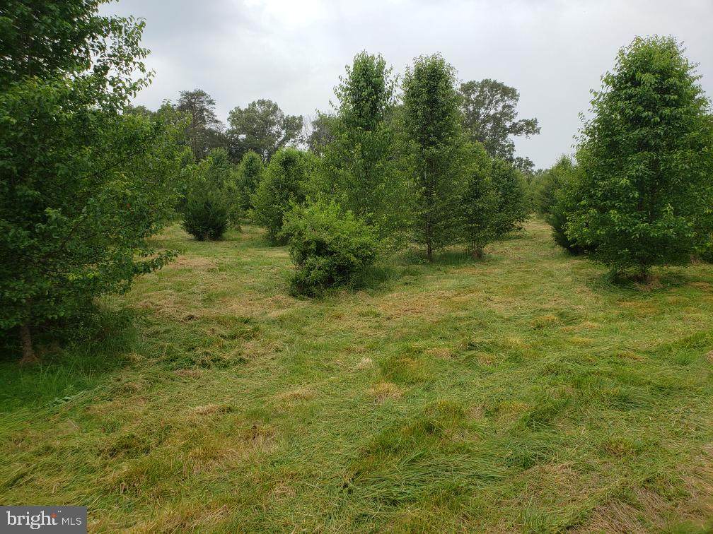 1040 Matthew Mill Road - Photo 1