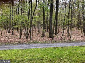 0 Woodhaven Road - Photo 1