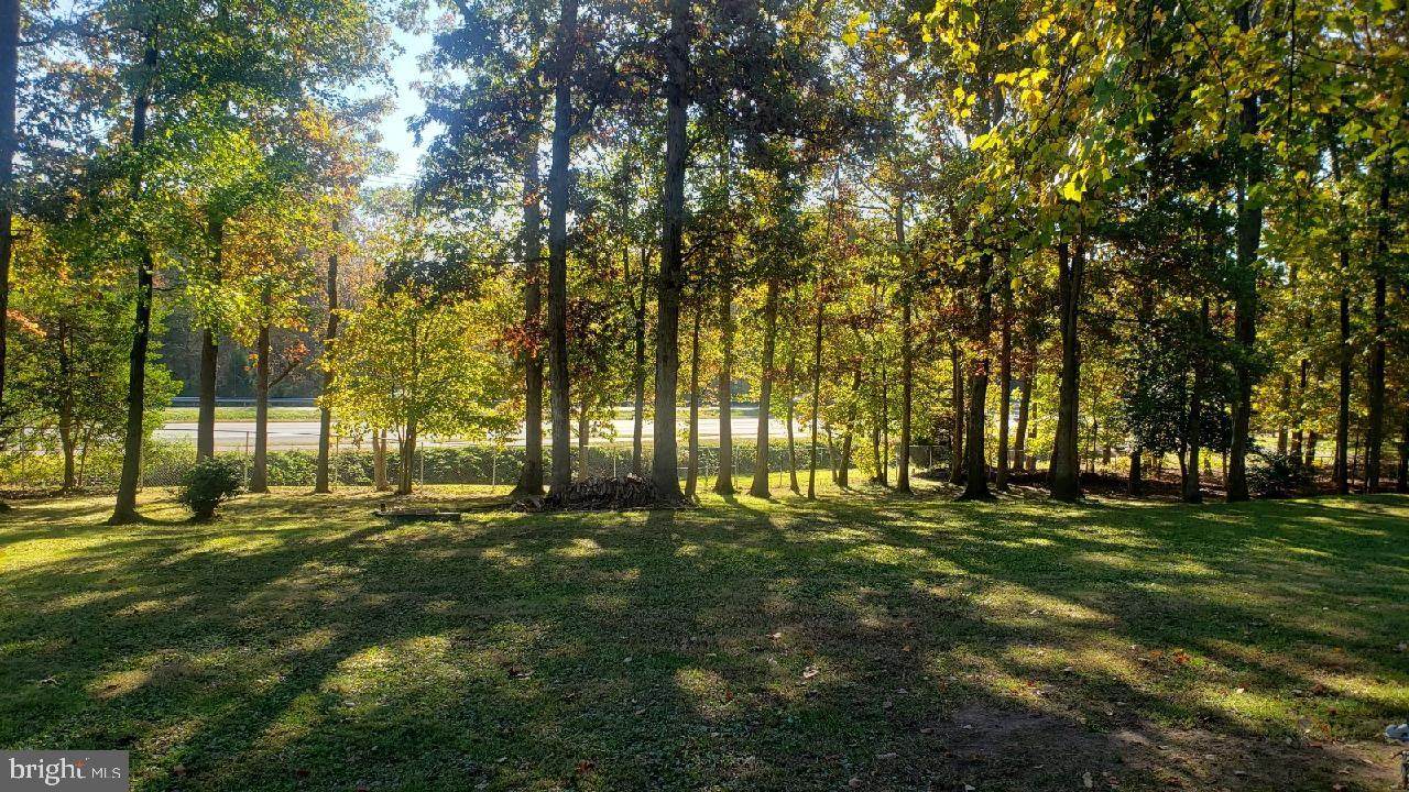 12570 Dumfries Road - Photo 1