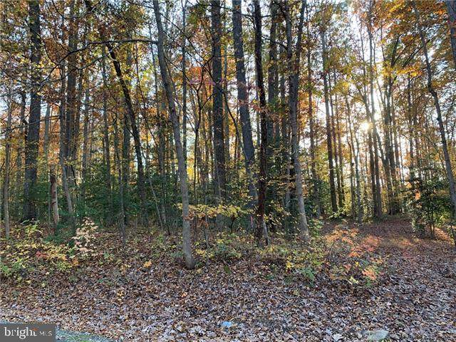 0 Poplar Drive - Photo 1