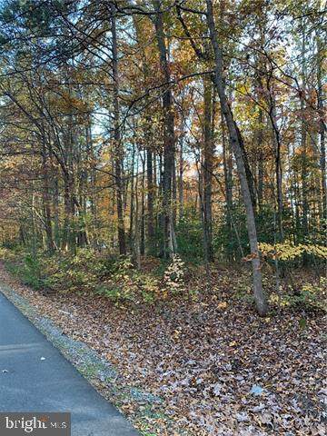 0 Poplar Drive - Photo 1