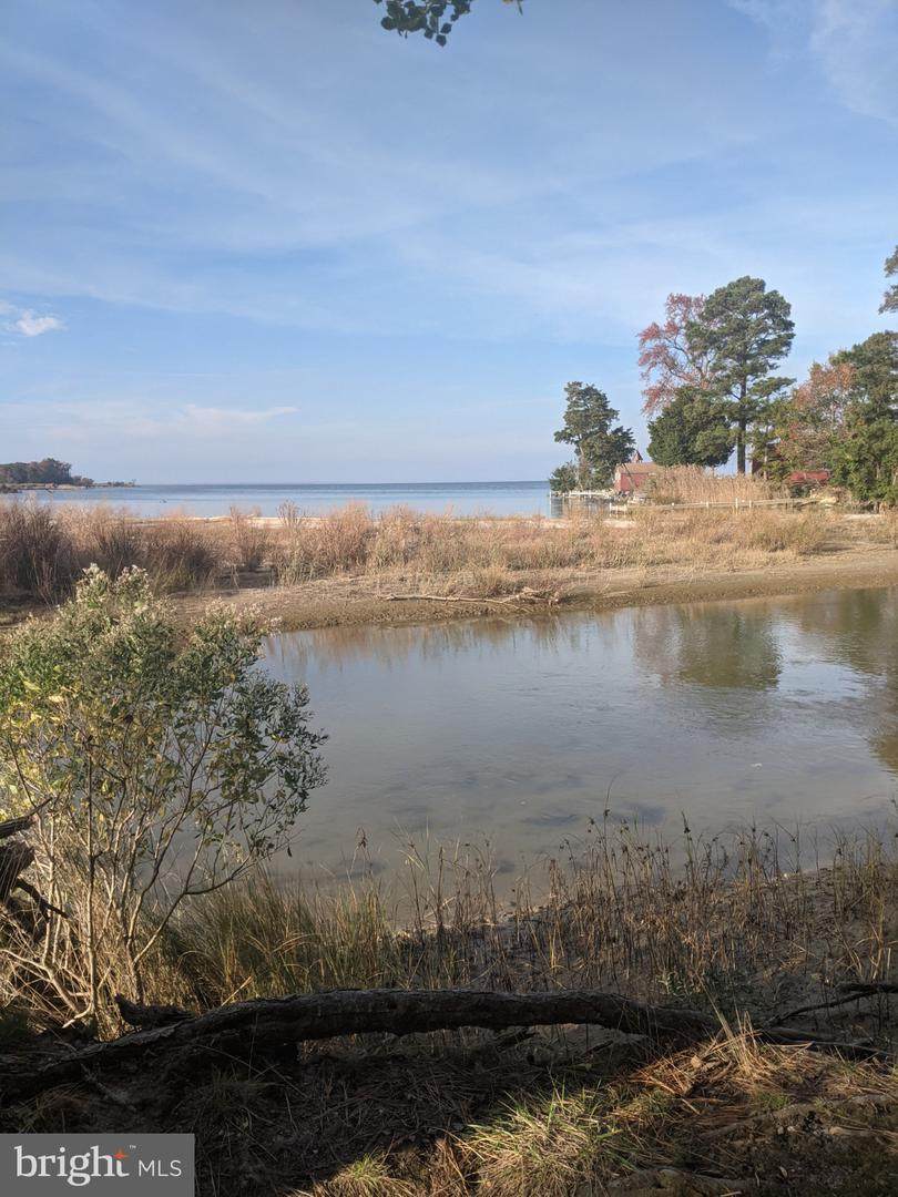 50810 Holly Point - Photo 1