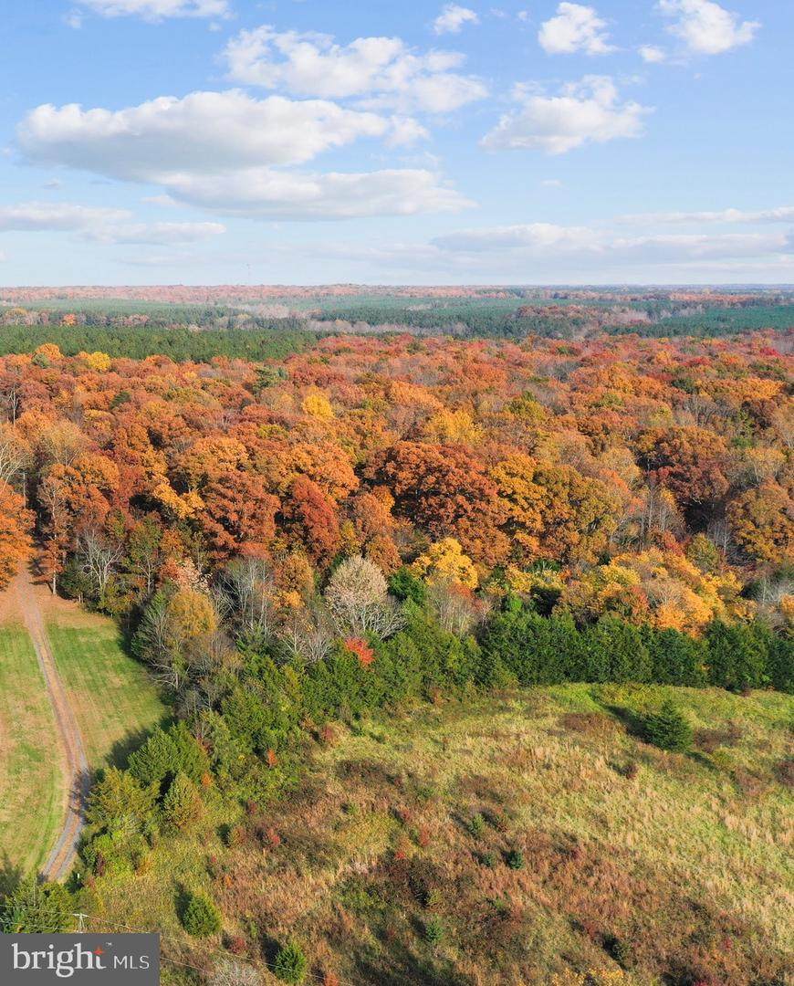 Zachary Taylor Highway - Photo 1