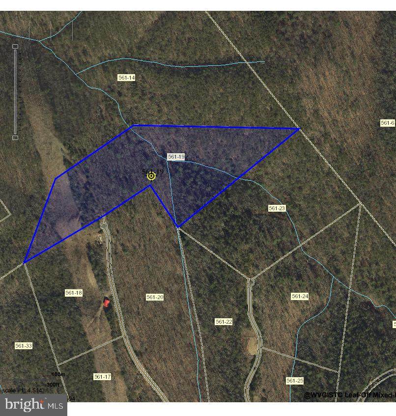 Lot 35 Bear Ridge - Photo 1