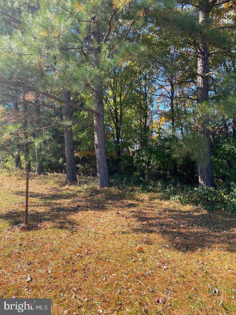 Bard Cameron Road - Photo 1