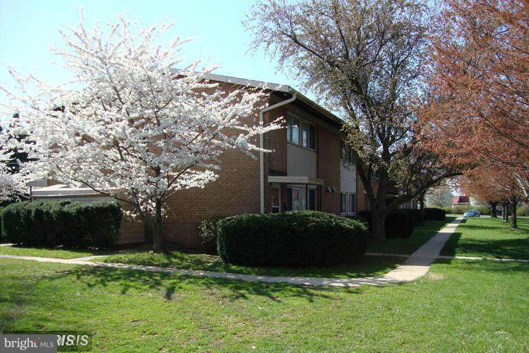1116 Taney Avenue - Photo 1