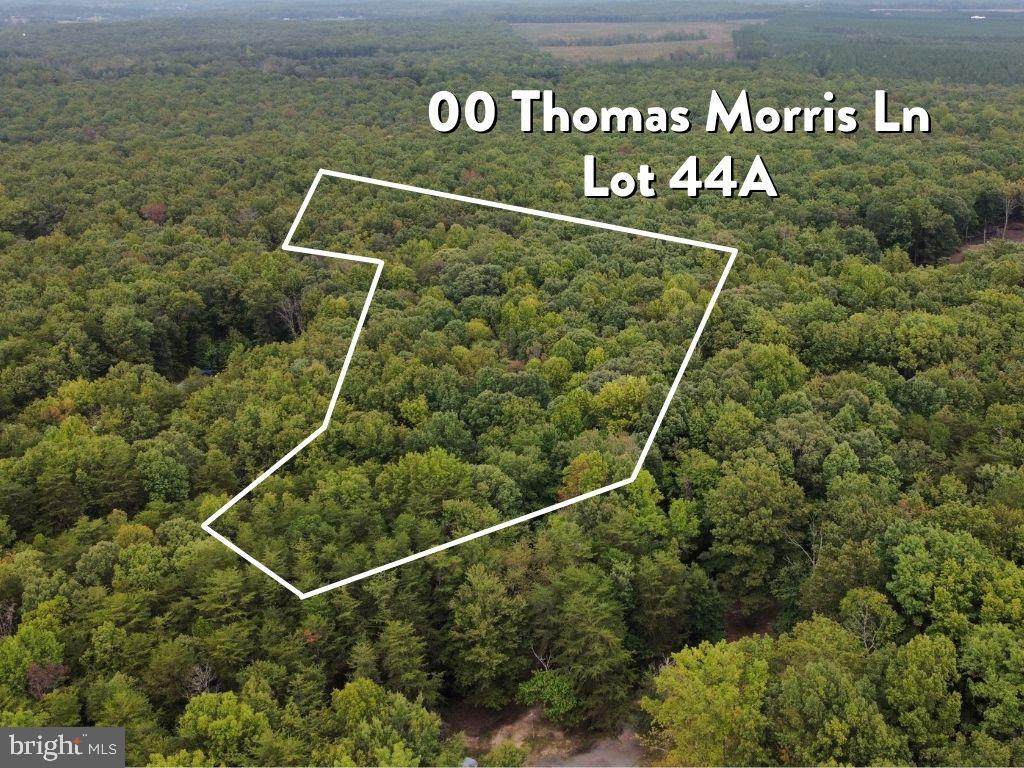 00 Thomas Morris Ln - Photo 1