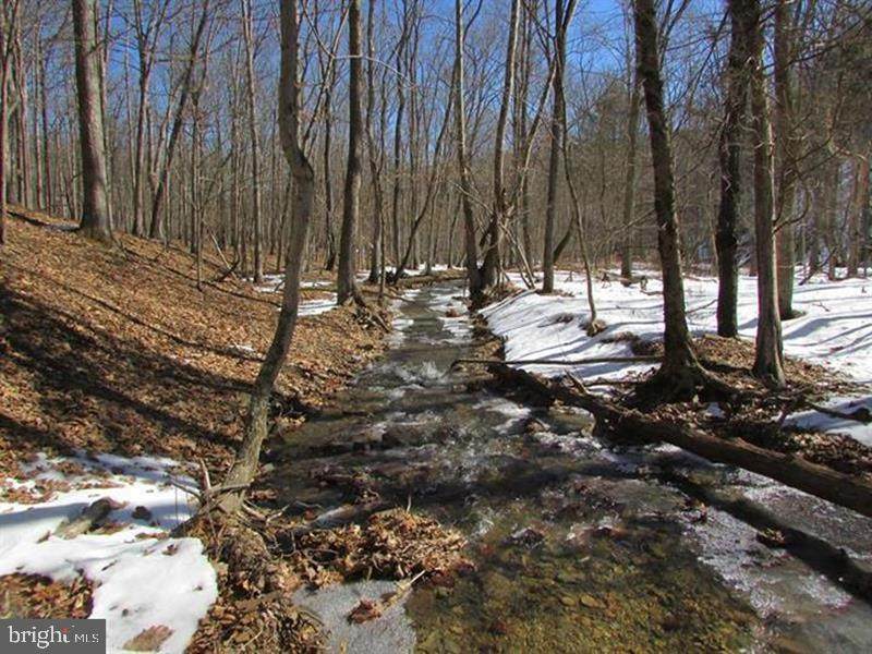 189 BLUFFS ON THE POTOMAC - Photo 1