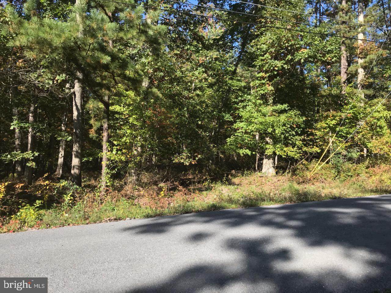 Pine Tree Drive - Photo 1
