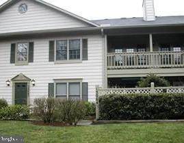 13062 Shadyside Lane - Photo 1