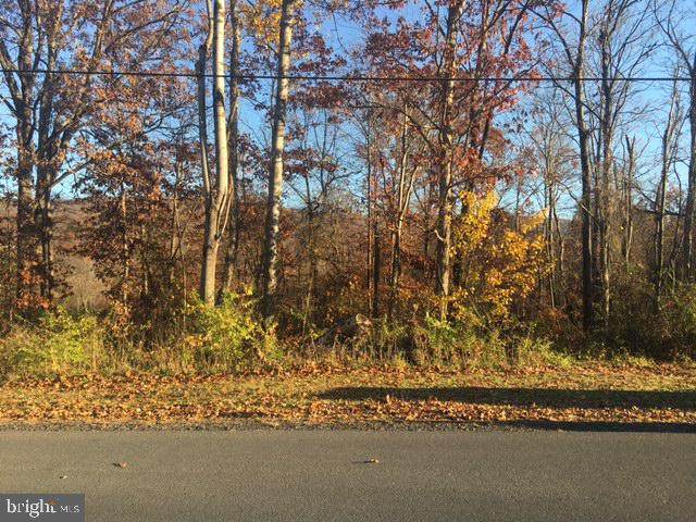0 PINE RIDGE DR - Photo 1