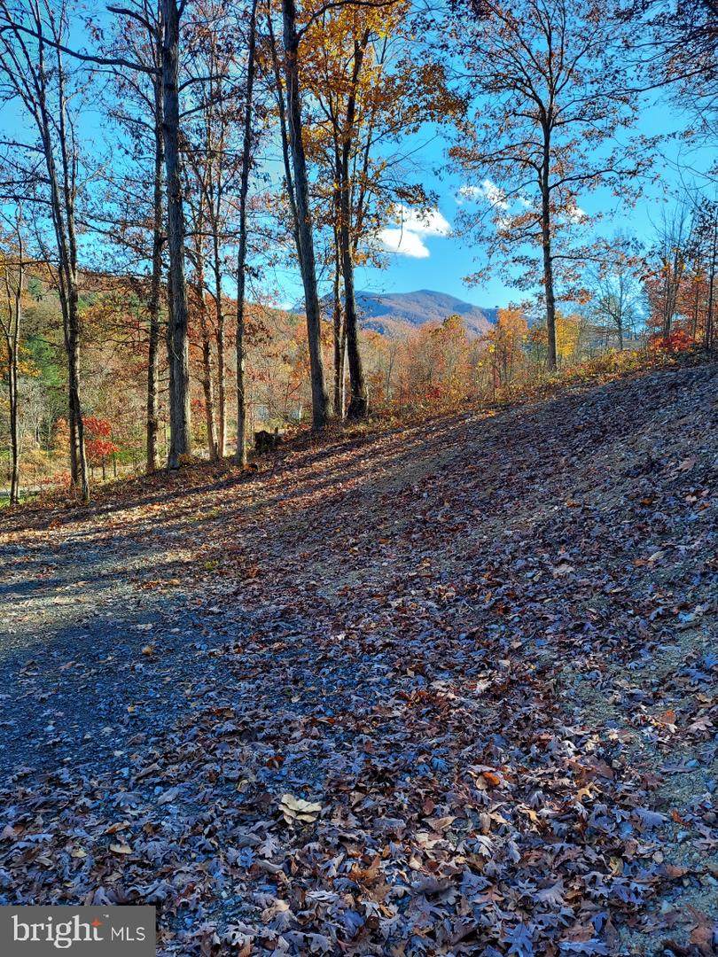 Hollow Run Road - Photo 1