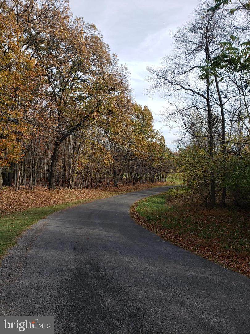 Moores Hollow Road - Photo 1