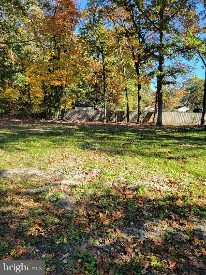 41 Blackwood-Clementon - Photo 1