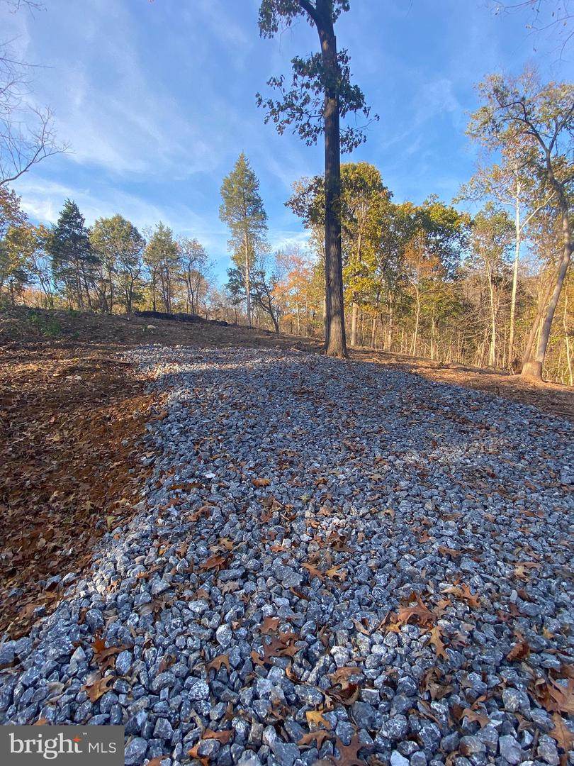 Lot 77 Calmes Neck Lane - Photo 1