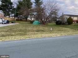 0000 Dogwood Road - Photo 1