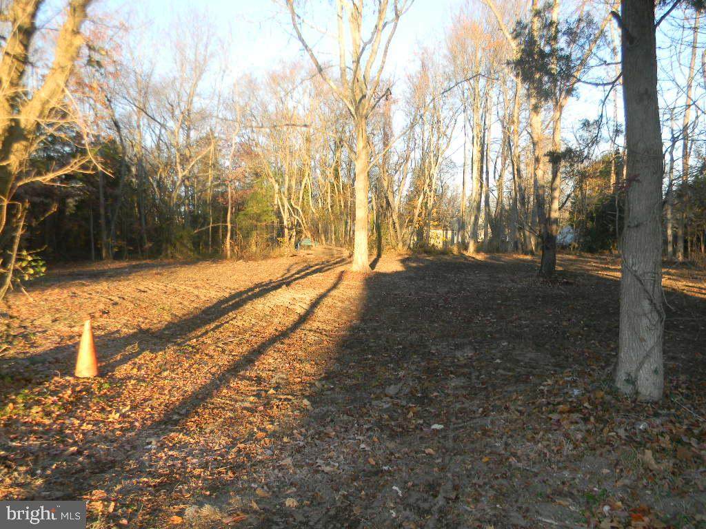 S. Lincoln Avenue - Photo 1