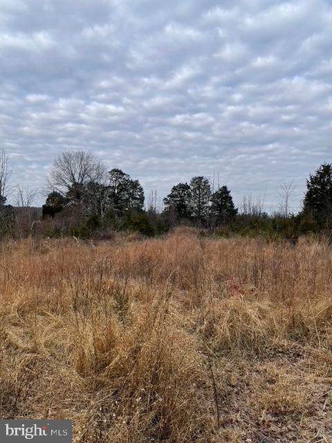22385 Evergreen Mills Road - Photo 1