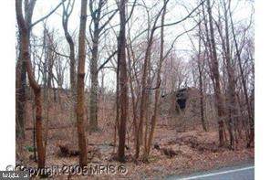 Wolfsville Road - Photo 1