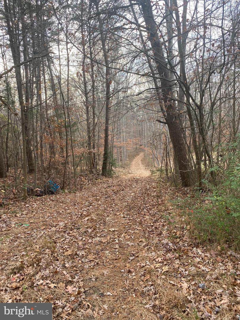 7700 Courthouse Road - Photo 1