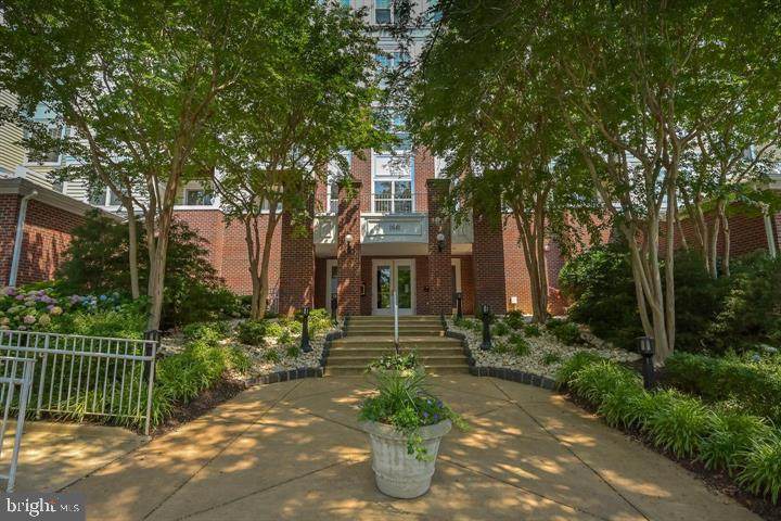 1625 International - Photo 1