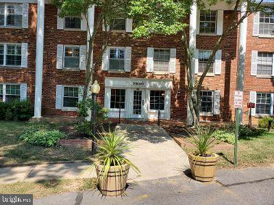 7630 Provincial Drive - Photo 1