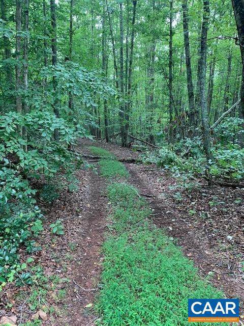 Howardsville Tpke - Photo 1