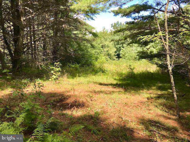 Moyers Gap Road - Photo 1