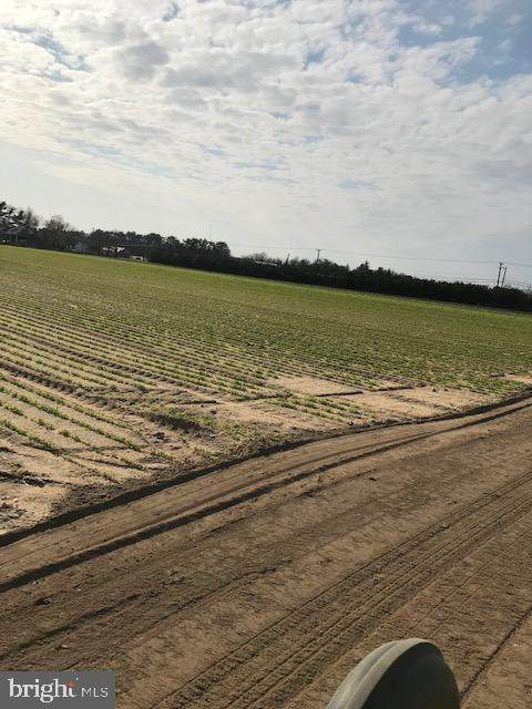 0 Panther Road - Photo 1