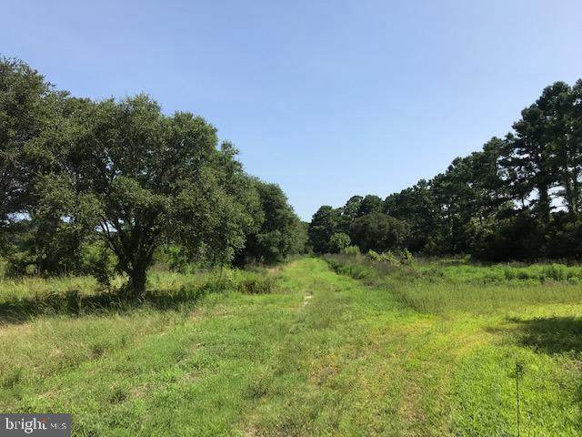 8311 Richardson Road - Photo 1