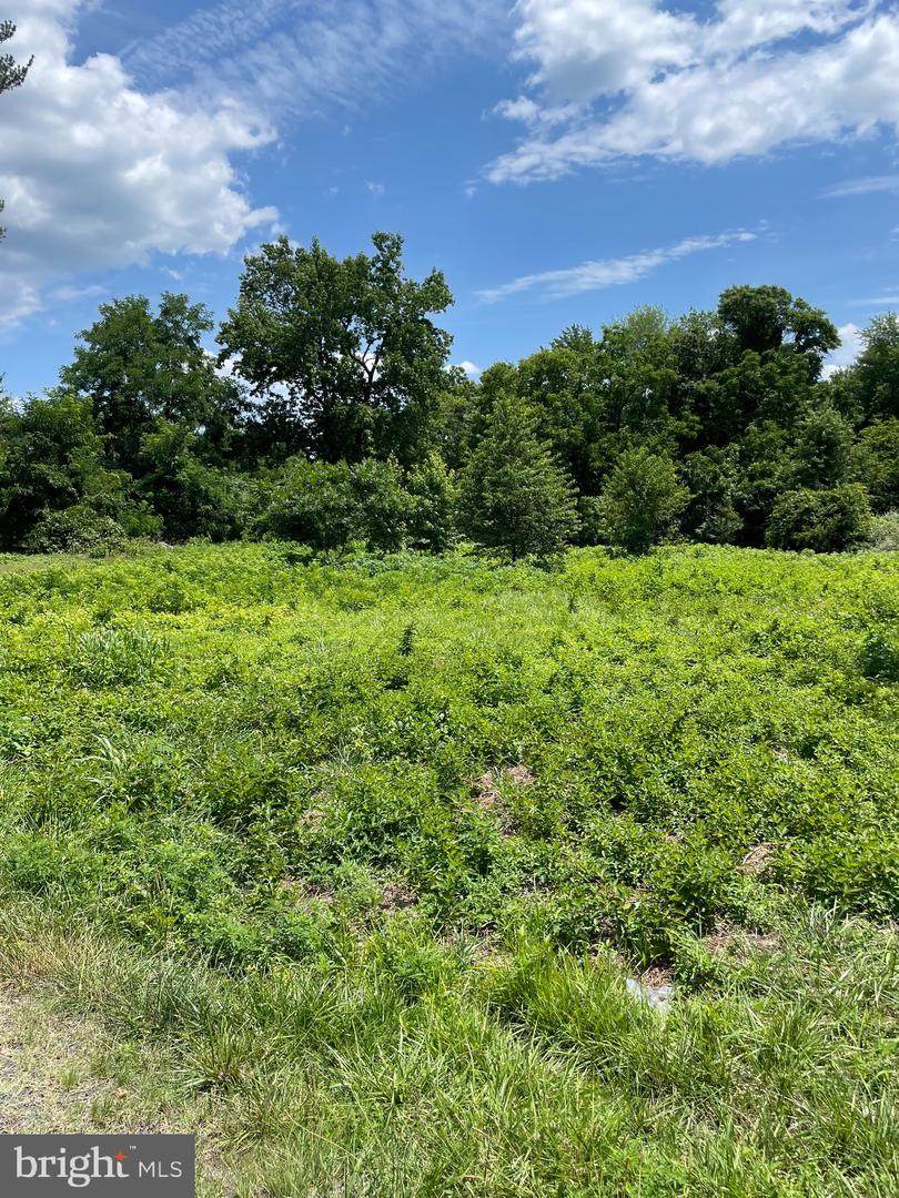 8431 Quarry - Photo 1