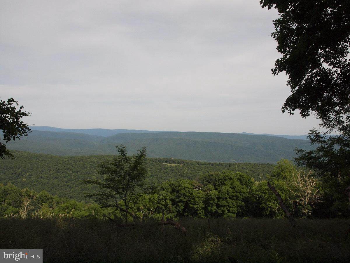 Mountain Crest Lane - Photo 1