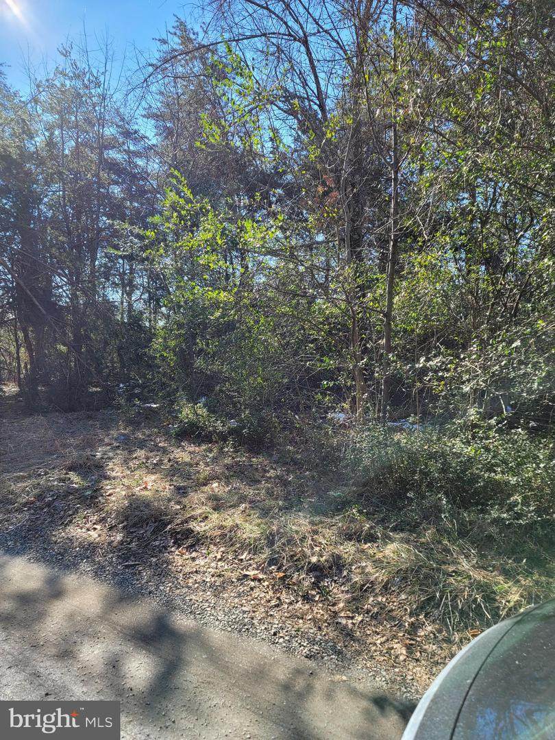 0 Good Neighbor Lane - Photo 1
