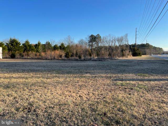 Lot A Beaver Dam & Butcher Lane - Photo 1