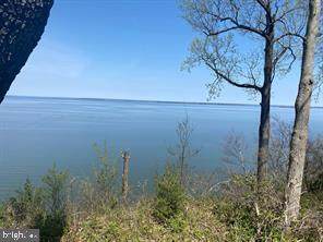 LOT #181 Bald Eagle Drive - Photo 1