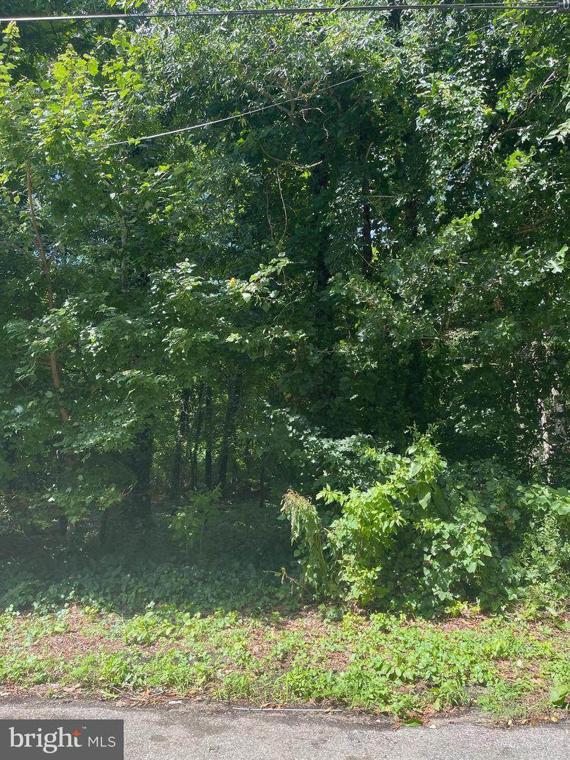 7199 Samuel Drive - Photo 1