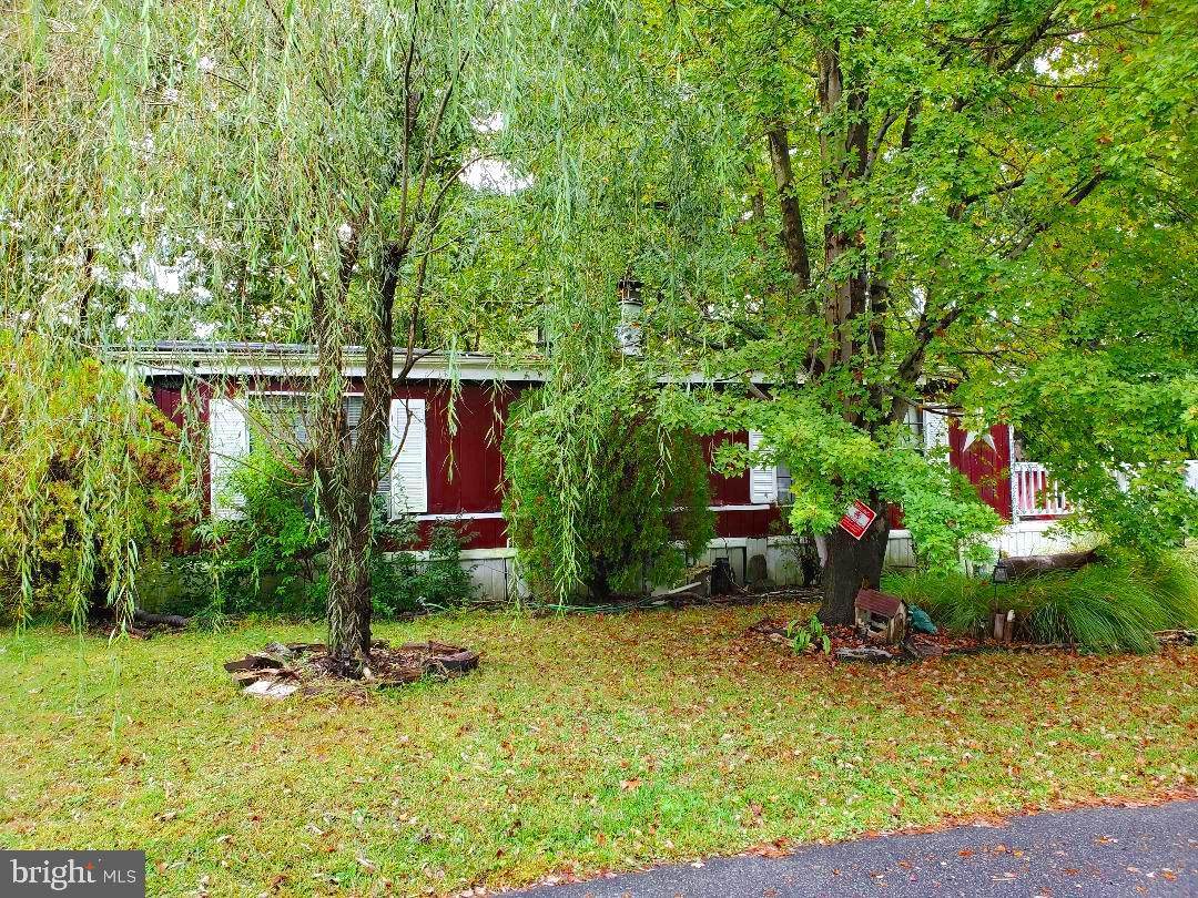 8 Cedarwood Drive - Photo 1