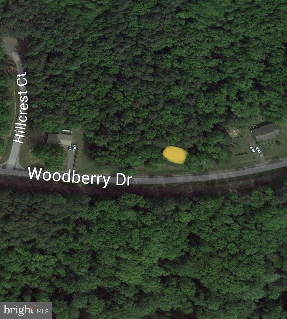 LOT #37 Woodberry Drive - Photo 1