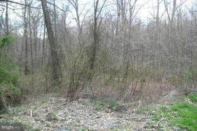11029 Locust Drive - Photo 1