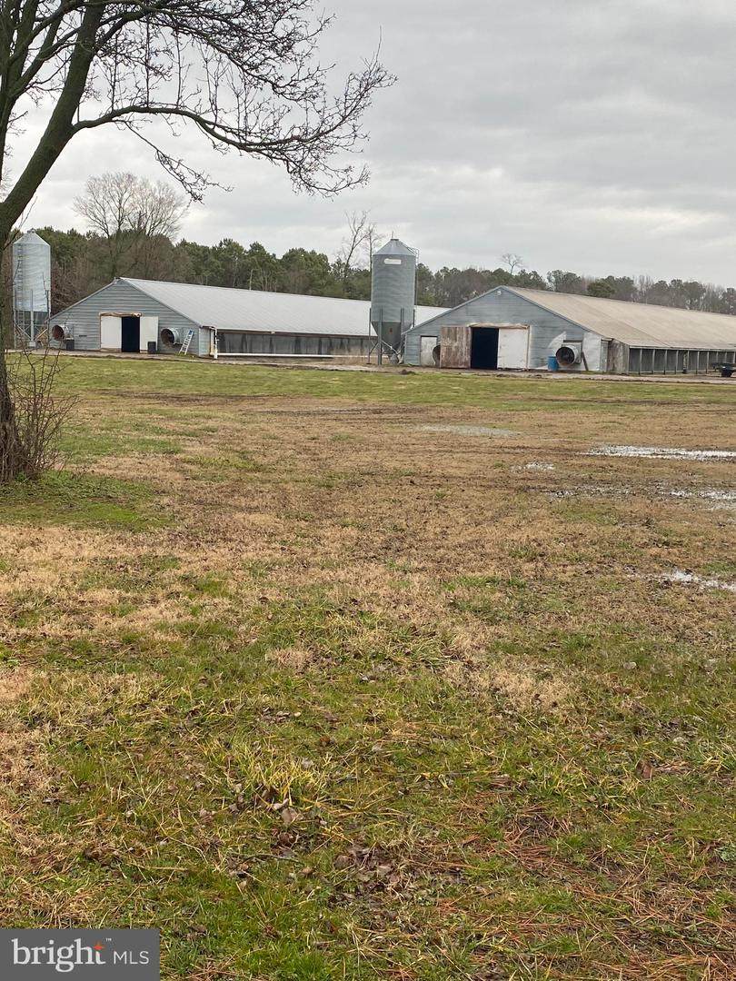 27100 Cash Corner Road - Photo 1