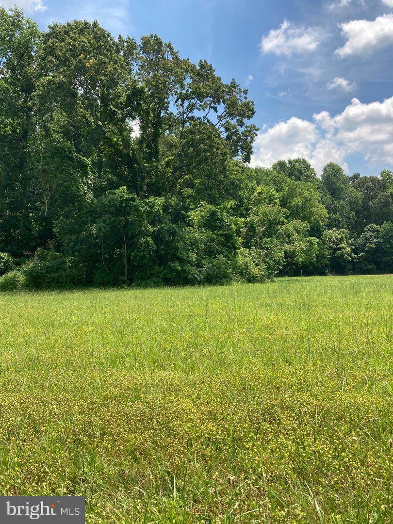 Lot 35 Prospect Hill Road - Photo 1