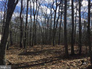 Quail Drive - Photo 1