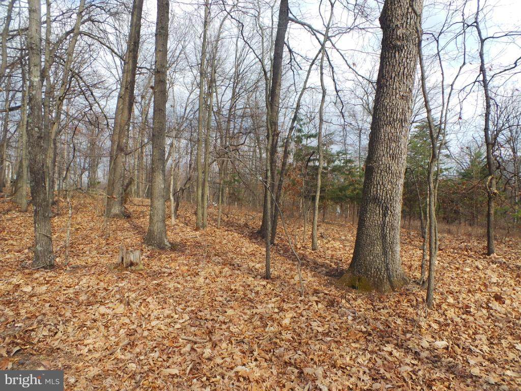 14 Hillcrest Lane - Photo 1