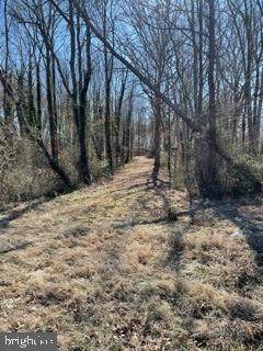 10515 Berry Road - Photo 1