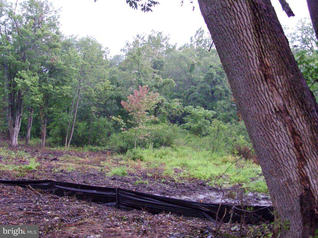 0 Grims Mill Road - Photo 1