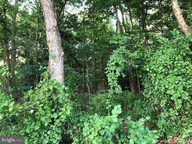 0 Township Line Road - Photo 1